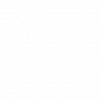 White magnifying glass icon